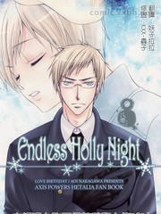 Endless Holly night